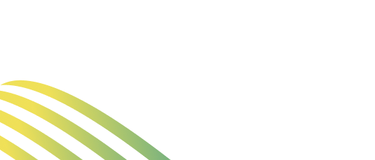 Bold Creative Strategies