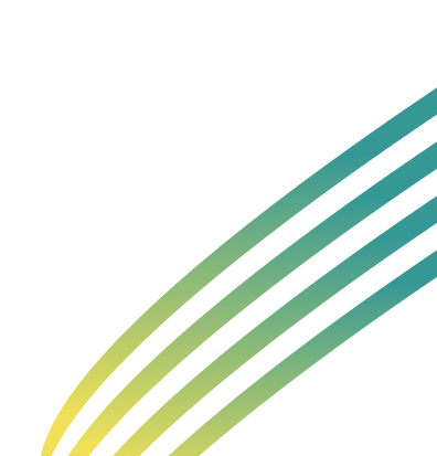 Bold Creative Strategies